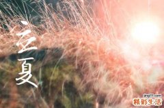 南方立夏吃什么传统美食立夏节气的时令美食