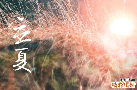 南方立夏吃什么传统美食立夏节气的时令美食