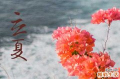 立夏后还可以种哪些蔬菜立夏后种植蔬菜的注意事项