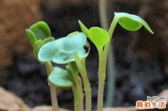 梅雨天气有什么特点 梅雨季节形成的原因