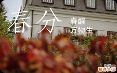 春分后天气就转暖了吗2024,2024年春分是几月几号