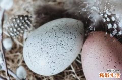 2024复活节是哪一天 2024年3月31日复活节这天适合走亲戚吗