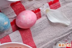 复活节在什么时候2024年 2024复活节当天可以养狗吗