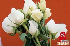 2024年3月28日结婚宴好不好 今日宜结婚宴吗