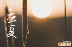 立夏节气农作物的生长特点立夏节气的风俗活动