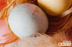 2024年今年复活节是几月几号 2024年3月31日复活节这天畜牧好不好