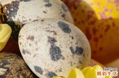 2024复活节农历是什么时候 2024年3月31日复活节这天适合祭拜灶神吗