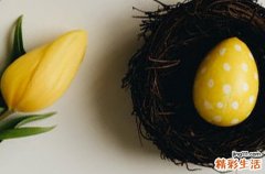 2024年復(fù)活節(jié)是星期幾 2024年復(fù)活節(jié)納婿適合嗎