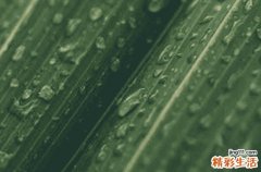 谷雨节气可以吃西瓜吗 谷雨节气的含义是什么