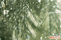 谷雨节气的特点是什么 谷雨节气的到来意味着什么