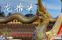 龙抬头在什么时候2025年 2025年龙抬头穿啥颜色衣服运气好