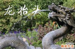 2025年龙抬头时间是星期几 2025年3月1日龙抬头乔迁新居适合吗