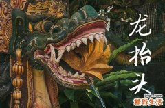 2025龙抬头是哪一天 2025年龙抬头禁忌干什么事