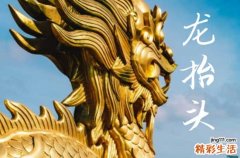 2025龙抬头是哪一天 2025年龙抬头出海打鱼好不好