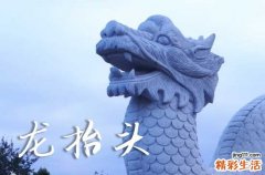 2025年龙抬头农历时间 2025年龙抬头穿什么颜色衣服运气好