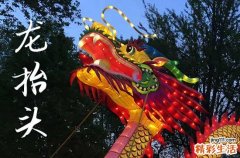 龙抬头2025年是几月几日星期几 2025年龙抬头穿啥颜色衣服好运气