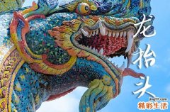 2025龙抬头农历是什么时候 2025年3月1日龙抬头制作棺材适合吗