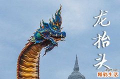 2025龙抬头是几月几号 2025年龙抬头是开市吉日吗