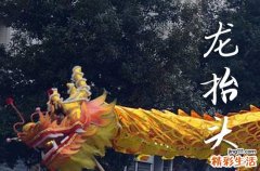 2025年龙抬头是多少号 2025年龙抬头开张适合吗