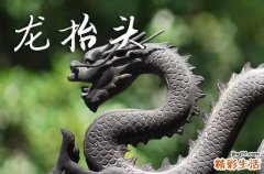 2025年龙抬头是几号 2025年3月1日龙抬头治病可以吗