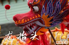 2025龙抬头是几月几号 2025龙抬头那天生子好不好