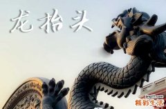 2025年龙抬头是星期几 2025年3月1日龙抬头盖房子适合吗