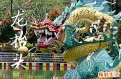 2025龙抬头是农历几月几日 2025年3月1日龙抬头这天适合脱孝吗