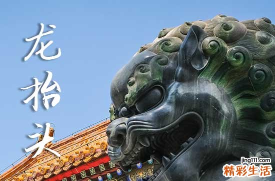 2025年什么时候龙抬头 2025年龙抬头训狗是吉日吗
