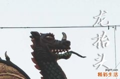 2025龙抬头是农历几月几日 2025年龙抬头词讼适合吗