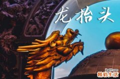 2025年什么时候龙抬头 2025年3月1日龙抬头是酬神的黄道吉日吗