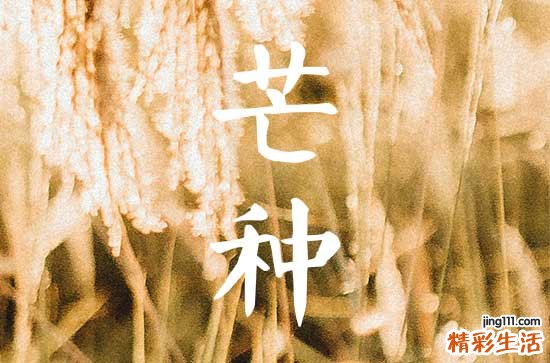 2024年芒种时间 2024年芒种是几月几号