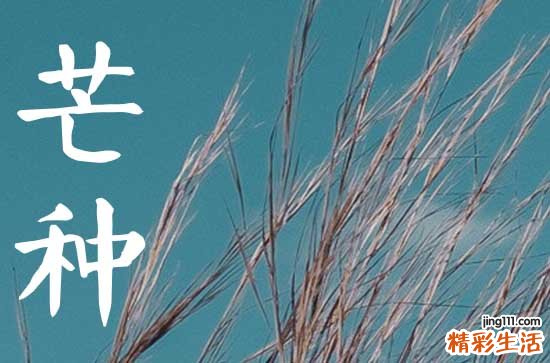 2024年芒種節(jié)氣是哪一天 2024年芒種的時(shí)間