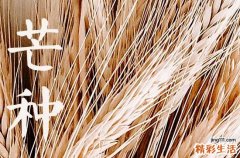 2024年芒种是什么意思 芒种有哪些习俗