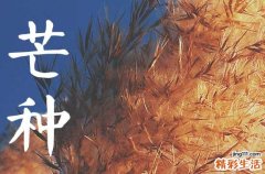 2024年芒种节气的含义芒种此节气的气候特点