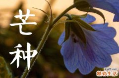 2024年芒种可以回娘家吗 芒种节气的禁忌