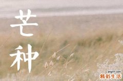 时雨及芒种是什么节气 2024年芒种的日期