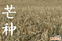 2024年芒种是几月几号几分几秒芒种养生小知识