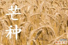 2024年芒种能种什么菜 芒种播种的注意事项