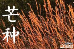 2024年芒种几月几号几分几秒 芒种适合种植什么蔬菜