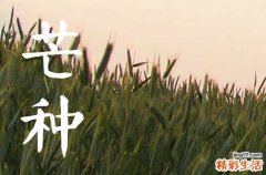 2024年芒种是具体时辰是多少 芒种对于农事活动的重要性