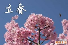 2024年几点几分立春