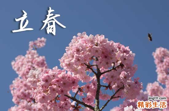 2024年几点几分立春