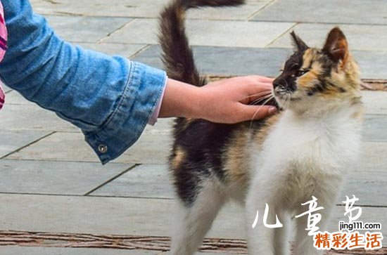 2024兒童節(jié)祝福短語 兒童節(jié)熱門短信大全