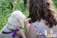 2024六一儿童节祝福语大全 祝大小朋友儿童节快乐