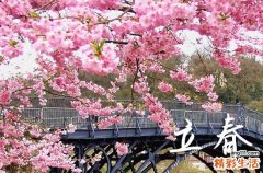 2024年打春躲春时间 躲春的正确方法