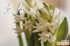 2024年立春准确时间是几点 2024立春时间