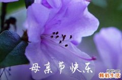 2024年母亲节送给妈妈的创意短信祝福语