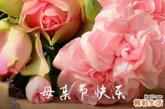 2024年精选母亲节祝福问候语46条送给母亲节的唯美句子
