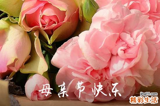 2024年精选母亲节祝福问候语46条送给母亲节的唯美句子