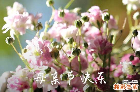 2024年母亲节温馨QQ祝福语合集41句母亲节贺词简短
